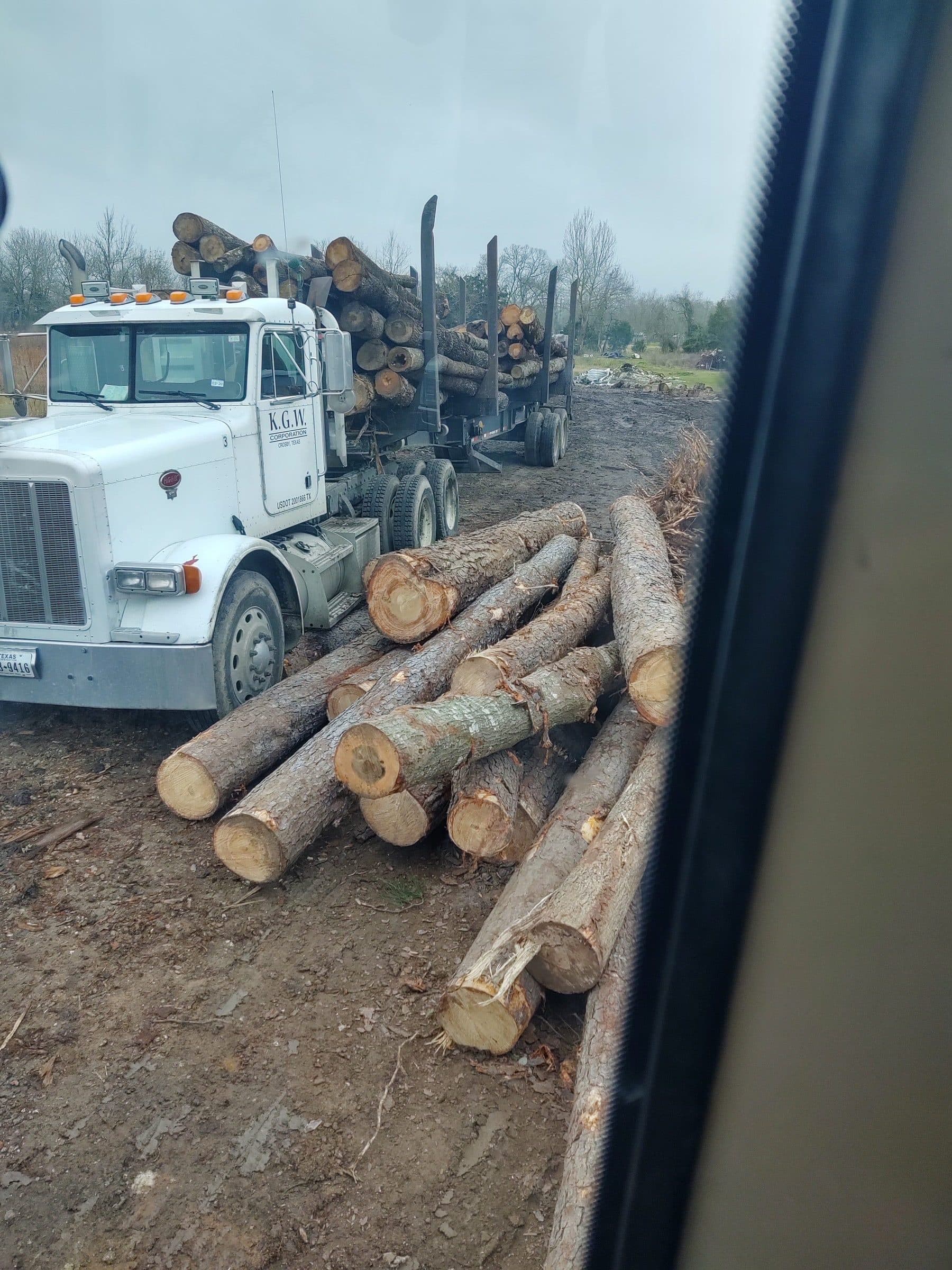 Land clearing by K.G.W. Corporation in the Houston area