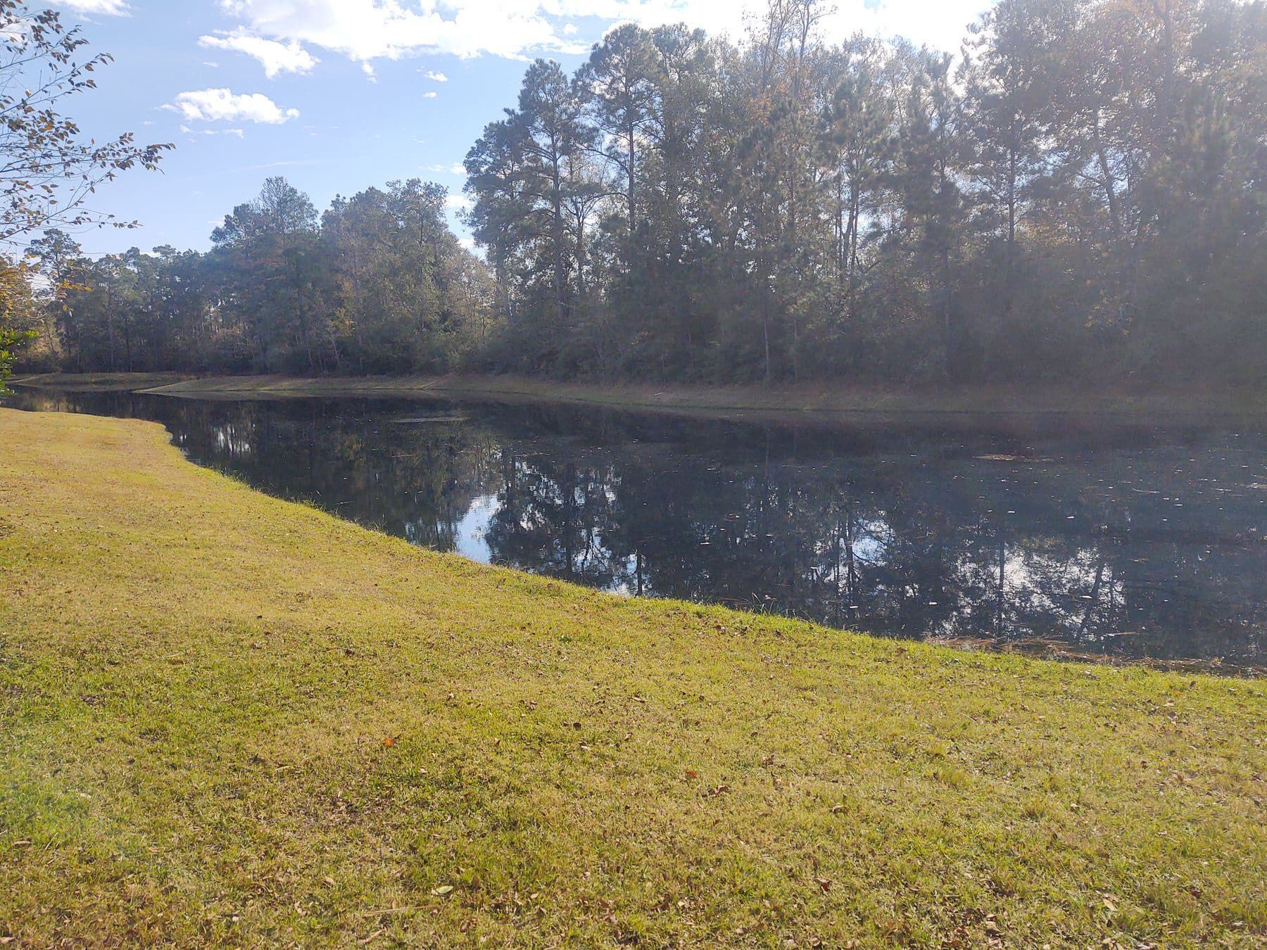 A finished pond dug by KGW Corporation, filled and grassed to the bank