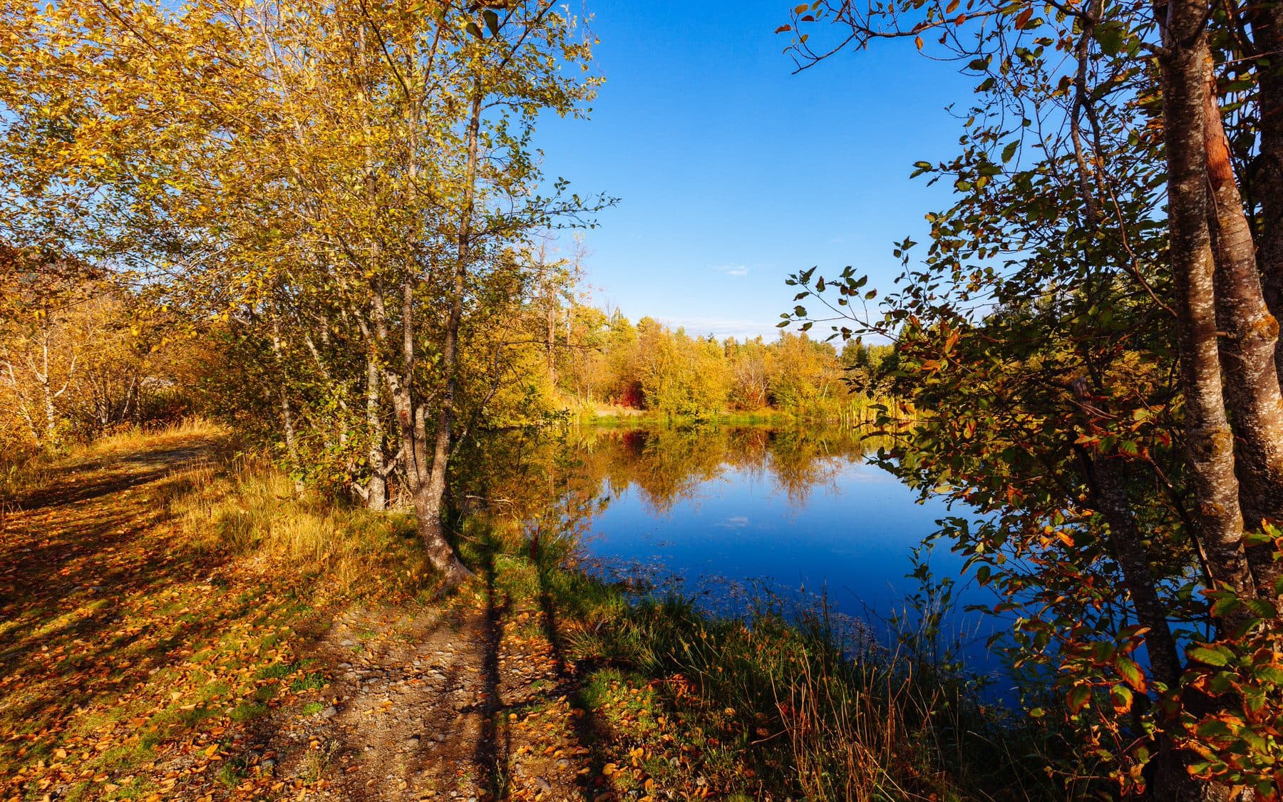 A finished pond dug by KGW, filled and holding water, with autumn colour on the bank